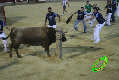 Alagon (Zaragoza) Exhibicion de emboladores de la cuadrilla de la Almunia y de emboladoras de Aragon y Navarra. 3636442956_795972b6aa