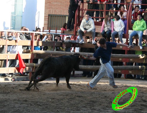 Luceni (Zaragoza) Ganaderia Jose Luis Cuartero 1-05-2009 3505140510_33a39ea125