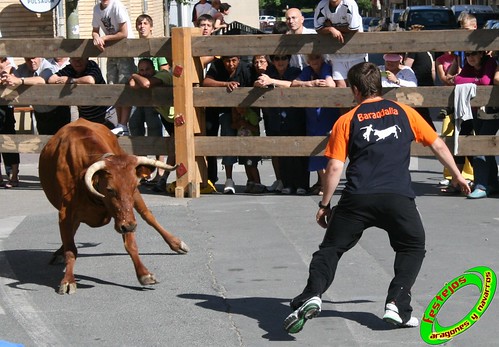 Peralta (Navarra) 20-06-2009 Ganaderia Juan Jose Laparte (Marcilla) 3649680545_886ab79da4