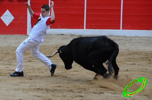 Concurso de cortes de Ricla ganaderia Ana Corera (Larraga, Navarra) 4641611611_34f4269c06