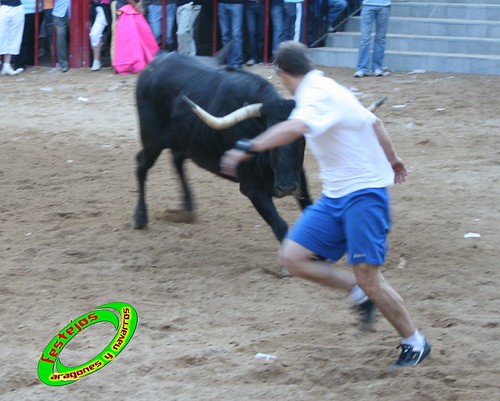 Alpartir (Zaragoza) 21-06-2009 Ganaderia "El Ruiseñor" (Frescano) 3656812468_6789b68062