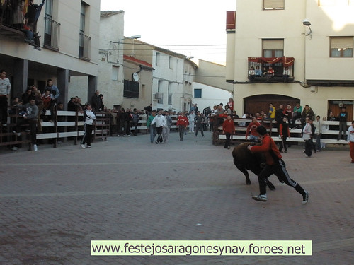 DIA 17-01-09  PRADILLA DE EBRO -  GANADO DE CUARTERO 3205502381_4333610e58