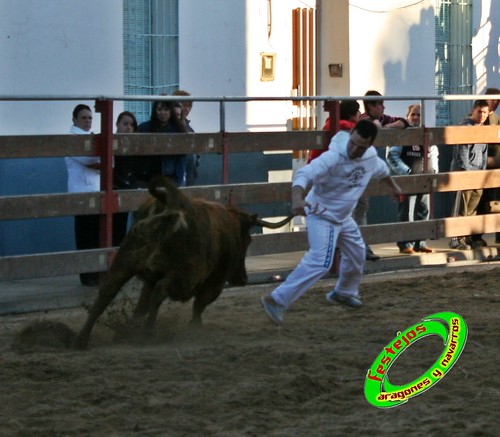 Luceni (Zaragoza) Ganaderia Jose Luis Cuartero 1-05-2009 3505144148_d7ab10ee06