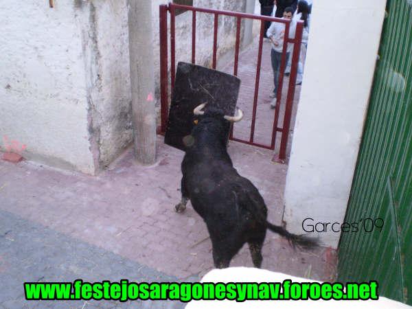 Domingo tarde 8 - 02 - 2009 ganaderia de Jose Luis Cuartero 3266785450_f35b5c7497_o