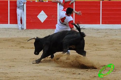 Concurso de cortes de Ricla ganaderia Ana Corera (Larraga, Navarra) 4642308654_995ebd947f