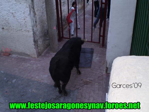 Domingo tarde 8 - 02 - 2009 ganaderia de Jose Luis Cuartero 3266785452_35474d9650_o