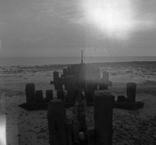 Pinhole - Page 3 3267386385_f62fd47930