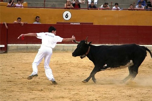 Alagon (Zaragoza) 14-06-2009 Concurso de recortadores Ganaderia Los Maños 3640470309_72e76571c4