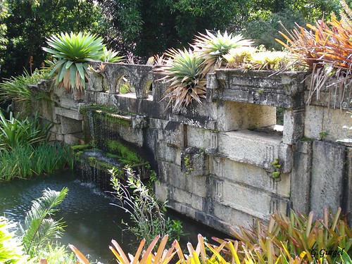 ROBERTO BURLE MARX A GREAT LANDSCAPE ARCHITECT (BRAZILIAN!) 3471909815_e03c3929b0