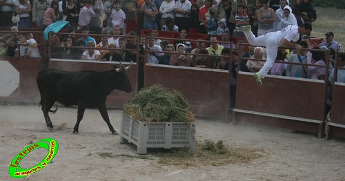 Ainzon (Zaragoza) 6-06-2009 Ganaderia "El Ruiseñor" (Frescano, Zaragoza) 3607174023_d172a39ff2