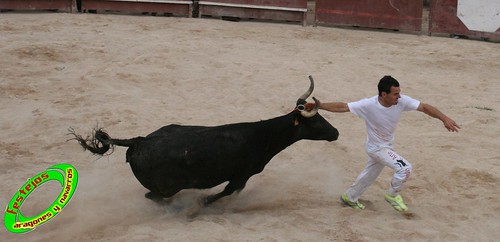 Ainzon (Zaragoza) 6-06-2009 Ganaderia "El Ruiseñor" (Frescano, Zaragoza) 3607338183_94a32426be