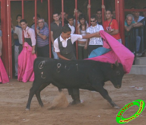 Alpartir (Zaragoza) 21-06-2009 Ganaderia "El Ruiseñor" (Frescano) 3655992999_2662a6f9be