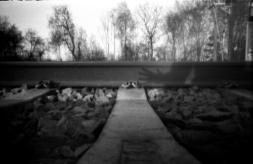 Pinhole - Page 3 3492642814_a62fdbe69e