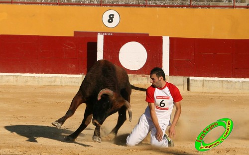 Alagon (Zaragoza) Concurso de cortes Ganaderia Jose Luis Cuartero (Pradilla de Ebro, Zaragoza) 3633896628_b44d71e6db