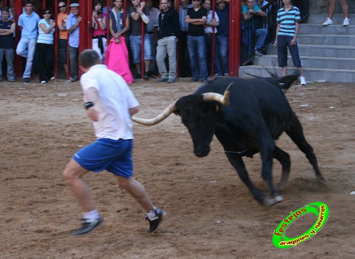 Alpartir (Zaragoza) 21-06-2009 Ganaderia "El Ruiseñor" (Frescano) 3656811542_4ebf806fc1