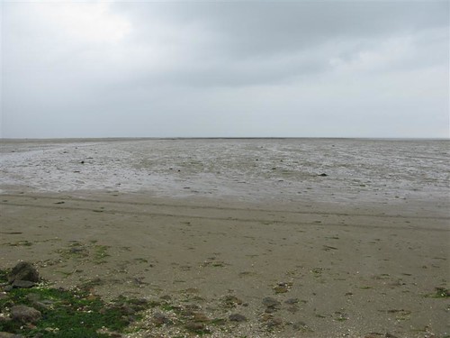 Sealand Aquarium, Noirmoutier 3657806797_577b7fc08d