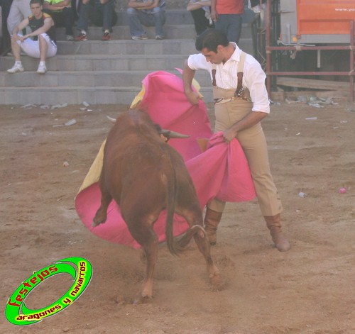 Alpartir (Zaragoza) 21-06-2009 Ganaderia "El Ruiseñor" (Frescano) 3656785166_70028f2a01