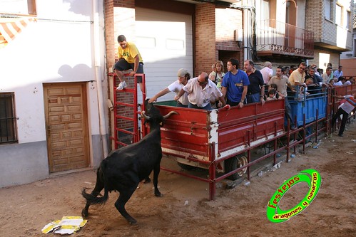 Alpartir (Zaragoza) 21-06-2009 Ganaderia "El Ruiseñor" (Frescano) 3656007227_b4e9b38289