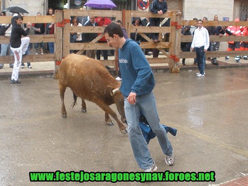 Arguedas (Navarra) 11-04-2009 mañana Ganaderia Ustarroz 3435585998_615c622f1d