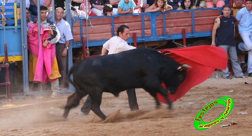 Alpartir (Zaragoza) 21-06-2009 Ganaderia "El Ruiseñor" (Frescano) 3656792584_c39bf0ea8c