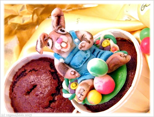 Cupcakes Choco-Abricot (vgl) 3432588034_1d14bf0e4d