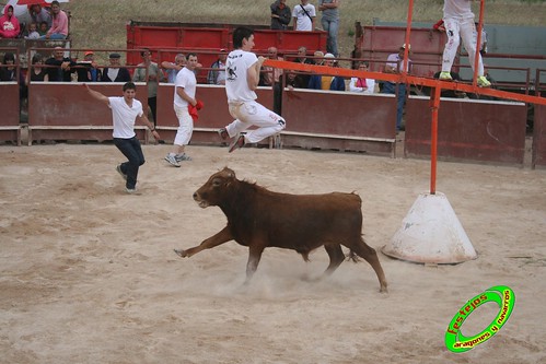 Ainzon (Zaragoza) 6-06-2009 Ganaderia "El Ruiseñor" (Frescano, Zaragoza) 3607255373_f93e6d48cf