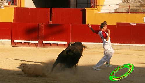 Alagon (Zaragoza) Concurso de cortes Ganaderia Jose Luis Cuartero (Pradilla de Ebro, Zaragoza) 3635209906_e63b35d40a