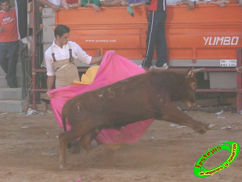 Alpartir (Zaragoza) 21-06-2009 Ganaderia "El Ruiseñor" (Frescano) 3655987801_d66fdedf69