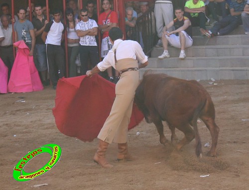 Alpartir (Zaragoza) 21-06-2009 Ganaderia "El Ruiseñor" (Frescano) 3655991419_c6181d4ff0