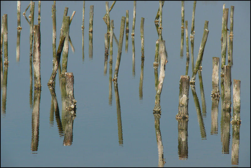 Vos plus beaux "reflets" - topic ouvert à tous - Page 7 3317244350_41e379b358_o