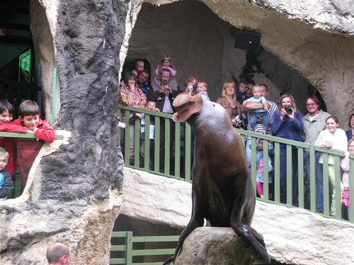 Sealand Aquarium, Noirmoutier 3657805995_f3f5a4ed29