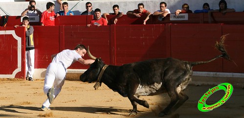 Peralta (Navarra) Concurso de recortadores 20-06-2009 Ganaderia Enrique Merino Gil y Manuel Merino Garde 3654427938_cab6622ec4