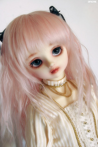 [VOLKS] Suiseiseki / Souseiseki 3429131096_3f64157010