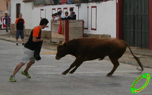 Rada (Navarra) Ganaderia "El Salobral" (Rada, Navarra) 17-05-2009 3551231865_bf59fe8ff0