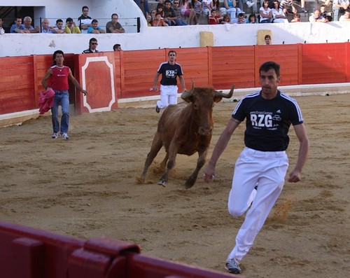 Peralta (Navarra) Concurso de recortadores 20-06-2009 Ganaderia Enrique Merino Gil y Manuel Merino Garde 3652987597_5103083044