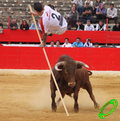 Alfaro (La Rioja)  16 de mayo Concurso de recortadores con anillas, ganaderia Jose Arriazu e Hijos (Ablitas, Navarra) 4639240342_6479a22fe9