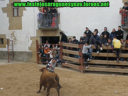 Villatuerta (Navarra) Ganaderia Miguel Reta 7 - 03 - 2009 3339069780_bdfdd3f44d