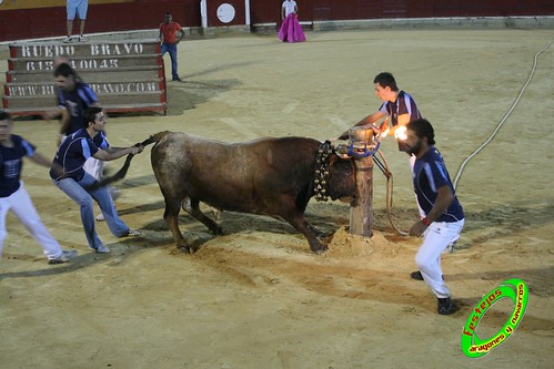 Alagon (Zaragoza) Exhibicion de emboladores de la cuadrilla de la Almunia y de emboladoras de Aragon y Navarra. 3636414900_c9678551a4