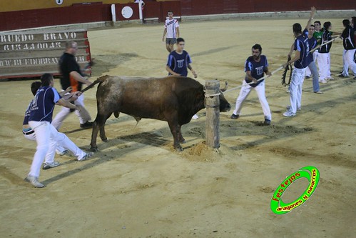 Alagon (Zaragoza) Exhibicion de emboladores de la cuadrilla de la Almunia y de emboladoras de Aragon y Navarra. 3635630035_29f3e33c01