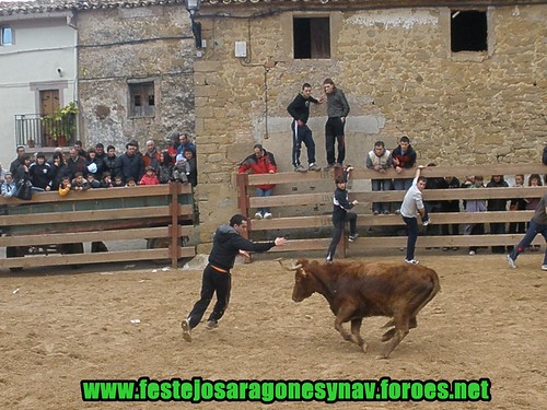 Villatuerta (Navarra) Ganaderia Miguel Reta 7 - 03 - 2009 3338355159_e32e6833a2