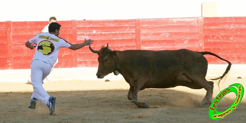 Peralta (Navarra) Concurso de recortadores 20-06-2009 Ganaderia Enrique Merino Gil y Manuel Merino Garde 3653626900_69189532ec