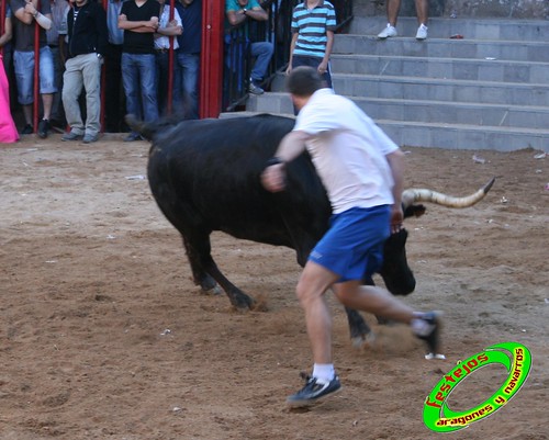 Alpartir (Zaragoza) 21-06-2009 Ganaderia "El Ruiseñor" (Frescano) 3656006033_ab389b7df0