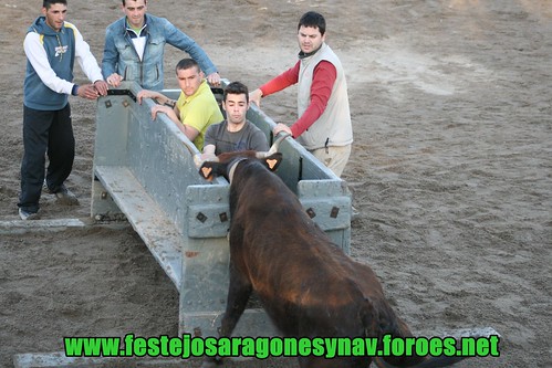 Pascua Taurina Onda, Ganaderia Hnos Ganuza Echecon Artajona (Navarra) 13-04-2009 3450038792_f727b07a52