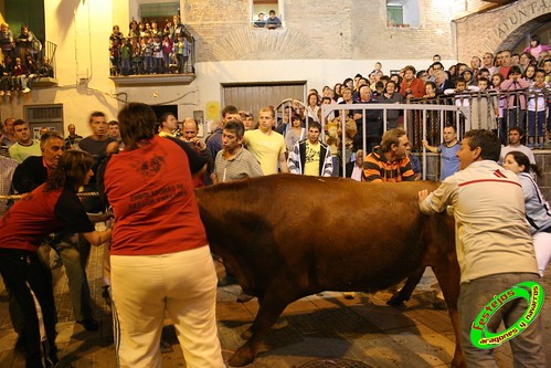 Ainzon (Zaragoza) 6-06-2009 emboladoras de  Aragon y Navarra, Ganaderia "El Ruiseñor" (Frescano, Zaragoza) 3613595226_8245029a0d