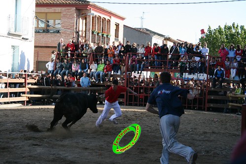 Luceni (Zaragoza) Ganaderia Jose Luis Cuartero 1-05-2009 3504413309_c5cd0d3212