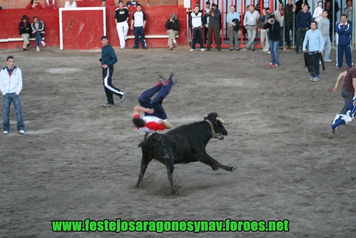 Pascua Taurina Onda, Ganaderia Hnos Ganuza Echecon Artajona (Navarra) 13-04-2009 3449234761_490c2b06c6