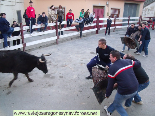 DIA 17-01-09  PRADILLA DE EBRO -  GANADO DE CUARTERO 3205493155_3b41fb6eb9