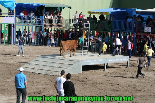 Pascua Taurina Onda, Ganaderia Hnos Ganuza Echecon Artajona (Navarra) 13-04-2009 3450000972_8a6a935586