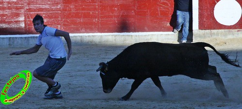 Alagon (Zaragoza) Desencajonada y vacas encintadas Ganaderia de Jose Luis Cuartero (Pradilla de Ebro) 11-6-2009 3628012581_1fe0d9a4c7