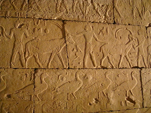  fragmentos  de relieves de tumbas y mastabas - Página 2 3184174146_2c1c6f0cda